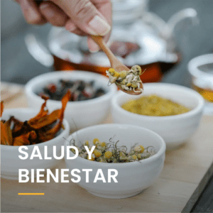 Categoría salud y bienestar